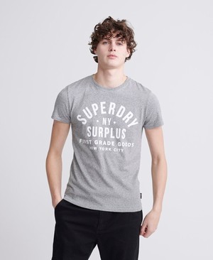 Superdry Surplus Goods Classic Graphic Férfi Pólók Szürke | QWSOU6905